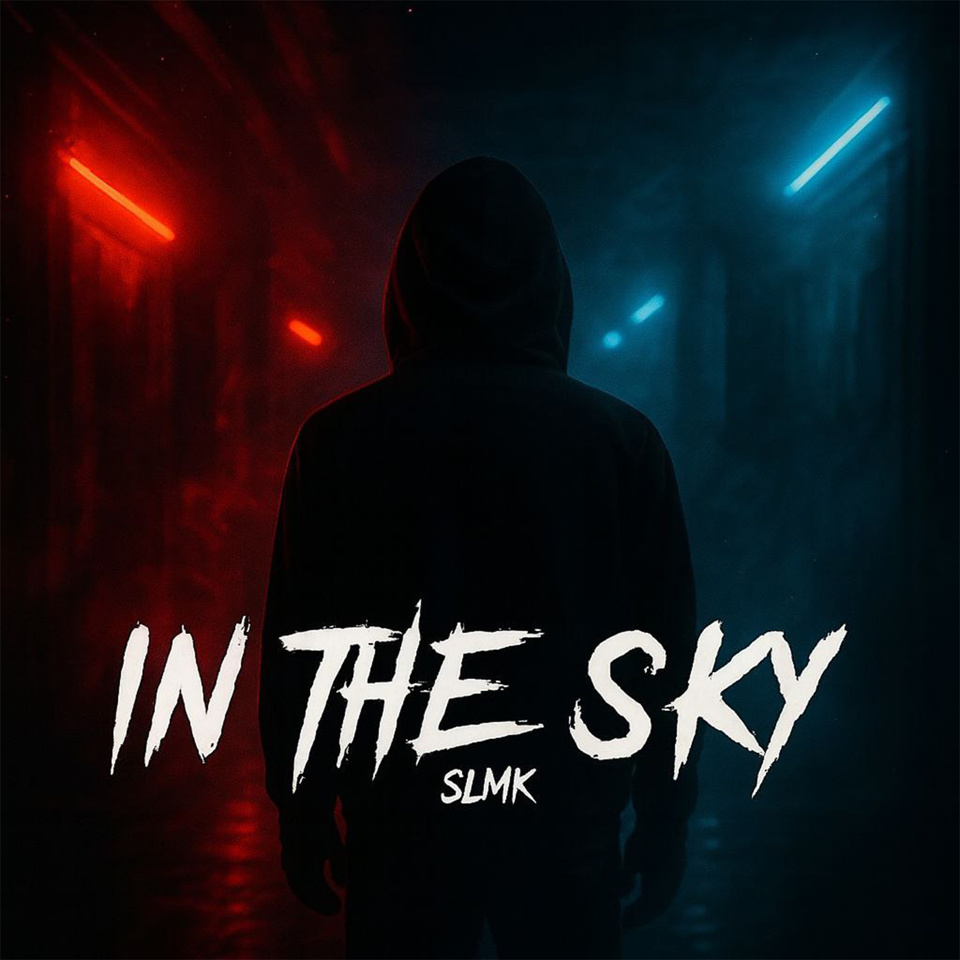 IN THE SKY